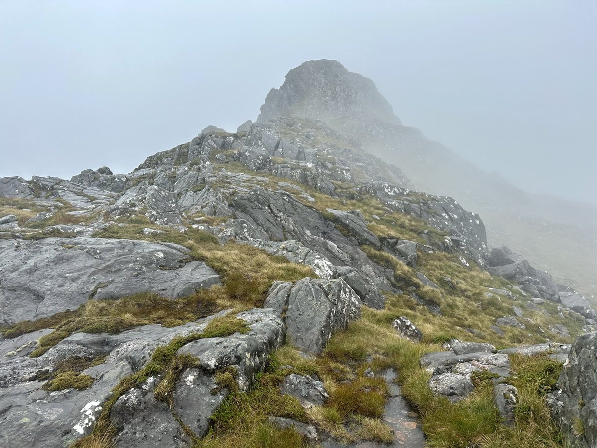 Ilona Turnbull tweet media