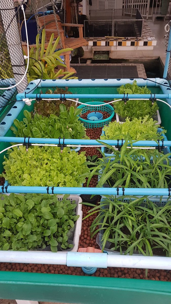 Eat healthy, growth your own.