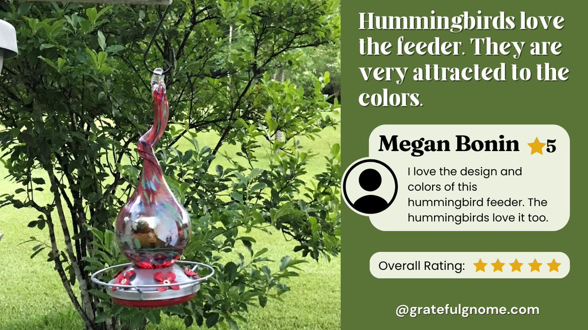 ⭐⭐⭐⭐⭐5 Star Review from Megan Bonin:🇺🇸 Hummingbirds love the feeder. They are very attracted to the colors. #hummingbirdfeeder #productreview #thrivingthursday * amzn.to/3GgNhku