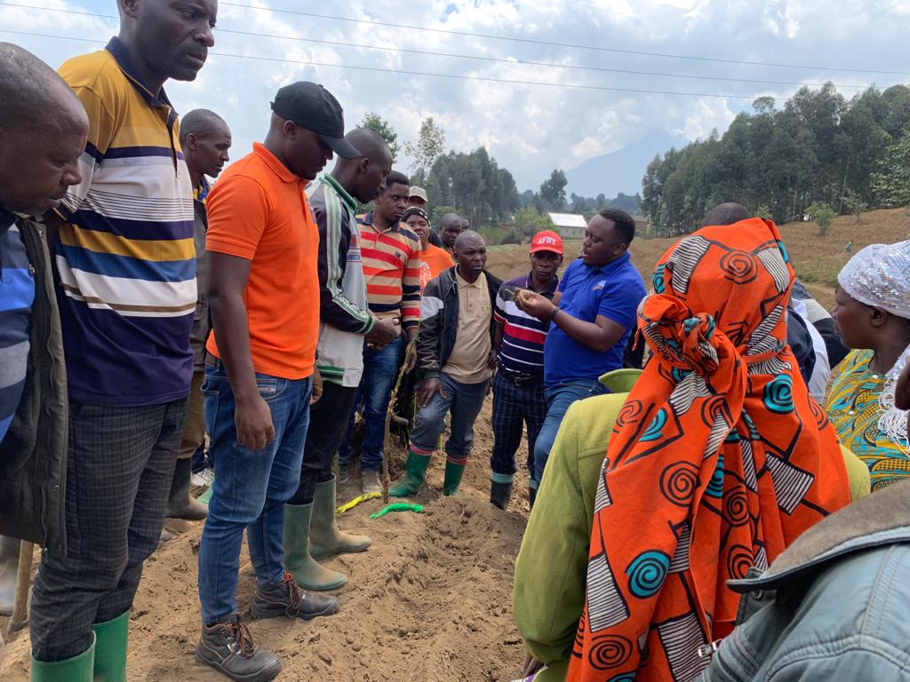 PotatoFpa's tweet photo. Planting #warepotatoes @RubavuDistrict as we are approaching the onset of the Season  A 2003-2024. @AgriterraRwanda @ImbaragaO @RwandaAgri @Agripool_advice https://t.co/yFRJiW07ii