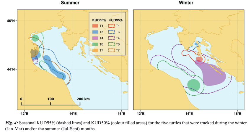 MeditMarSci's tweet photo. Satellite tracking identifies important foraging areas for loggerhead turtles frequenting the Adriatic Sea, Central Mediterranean
Resi MENCACCI, https://t.co/MWuFadzfF0
#marineturtles #utilization #distribution
DOI: https://t.co/xwUAOH0Tp1
@MariannaGiann https://t.co/tXD1UfCYsN