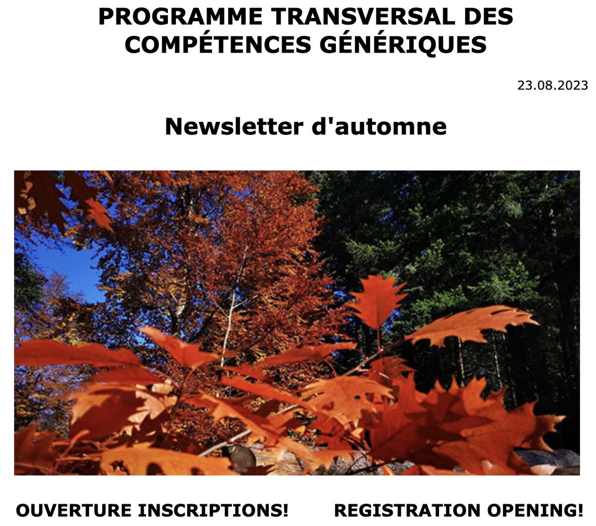 CUSO (@cuso_phd) on Twitter photo Notre #newsletter d'automne est arrivée! 📰🍂cuso.ch/newsletter/CUS…
Vous y découvrirez l'offre du programme transversal
<a href="/cuso_skills/">CUSO Competences</a> pour le semestre d'automne, une invitation à publier dans notre blog & quelques informations à propos de la finale internationale <a href="/MT180ch/">MT180 Suisse</a> ! Notre #newsletter d'automne est arrivée! 📰🍂cuso.ch/newsletter/CUS…
Vous y découvrirez l'offre du programme transversal
<a href="/cuso_skills/">CUSO Competences</a> pour le semestre d'automne, une invitation à publier dans notre blog & quelques informations à propos de la finale internationale <a href="/MT180ch/">MT180 Suisse</a> !