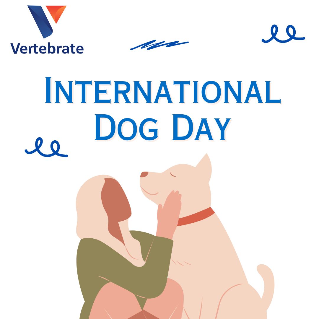 vertebrate_it's tweet photo. 🐶Celebrating International Dog Day with Vertebrate IT & Business Services! Just as loyal as our pups, delivering innovation worldwide. 🌍👔 #DogDayBizBoost #vertebrate #vision2023 #digitalmarketing #website #development #mobileapps #business #technology #eeeepolicy https://t.co/8PiROU58ZU