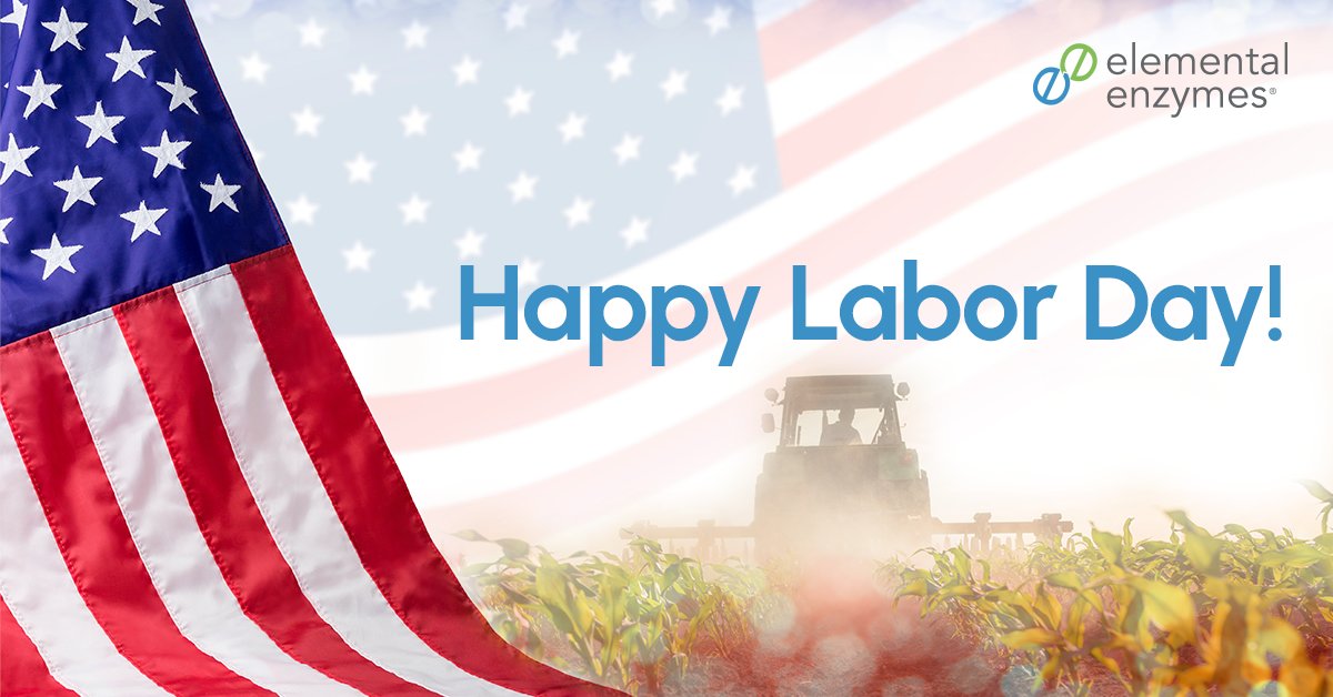 Elemental Enzymes tweet media