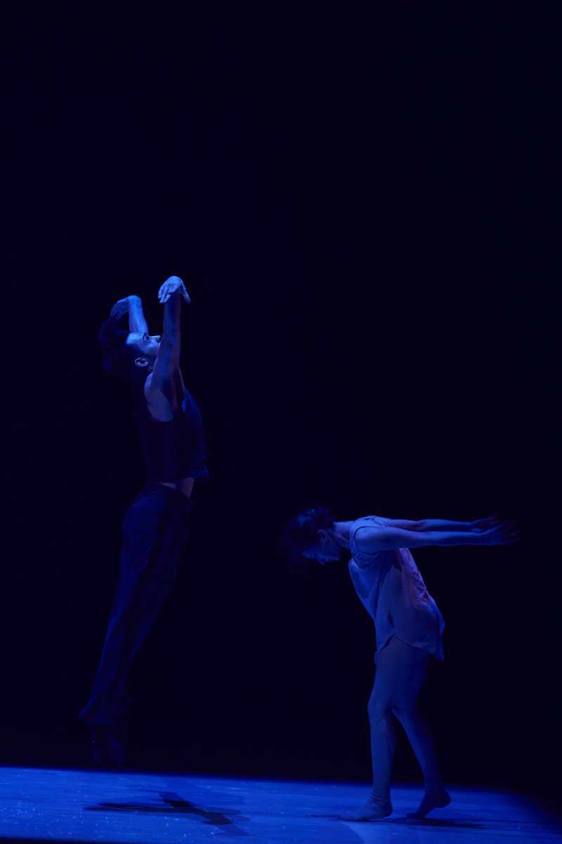 PFCantabria's tweet photo. 💥Gracias a #BalletsJazzMontréal podremos recordar a #LeonardCohen el 2 de diciembre😍

#Danceme es una creación exclusiva inspirada en la rica y profunda del poeta, artista y compositor🙌

👉Más info✍https://t.co/yJjD7EppM3

👋Consulta la programación 👇 https://t.co/BZ5w81BPOS https://t.co/PfM07F4WUA