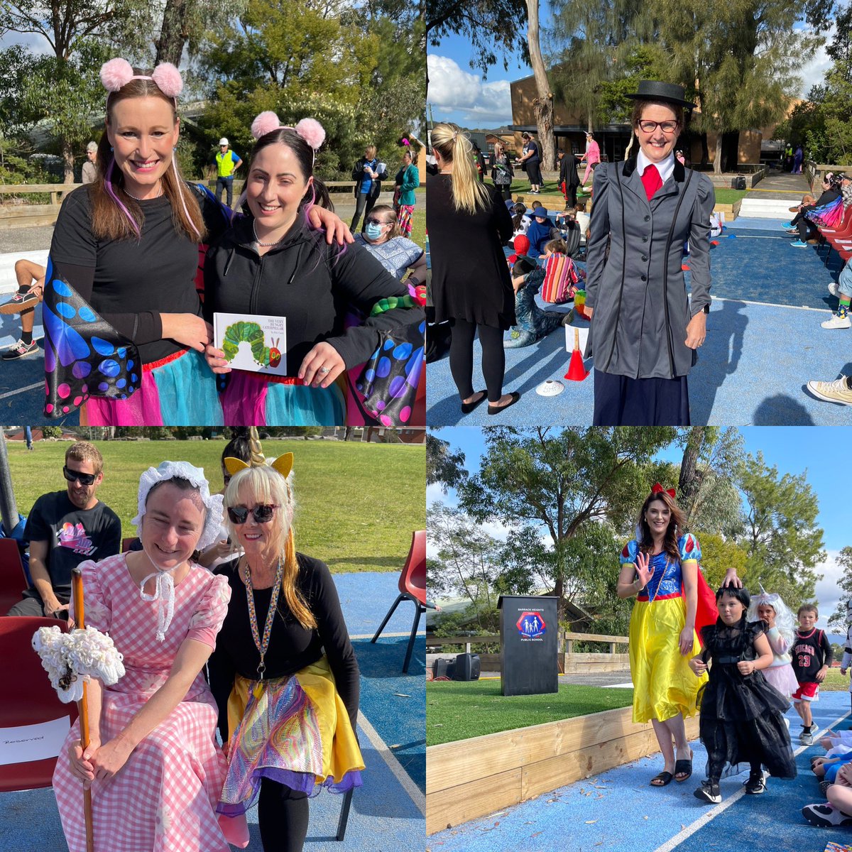 Barrack Heights Public School tweet media