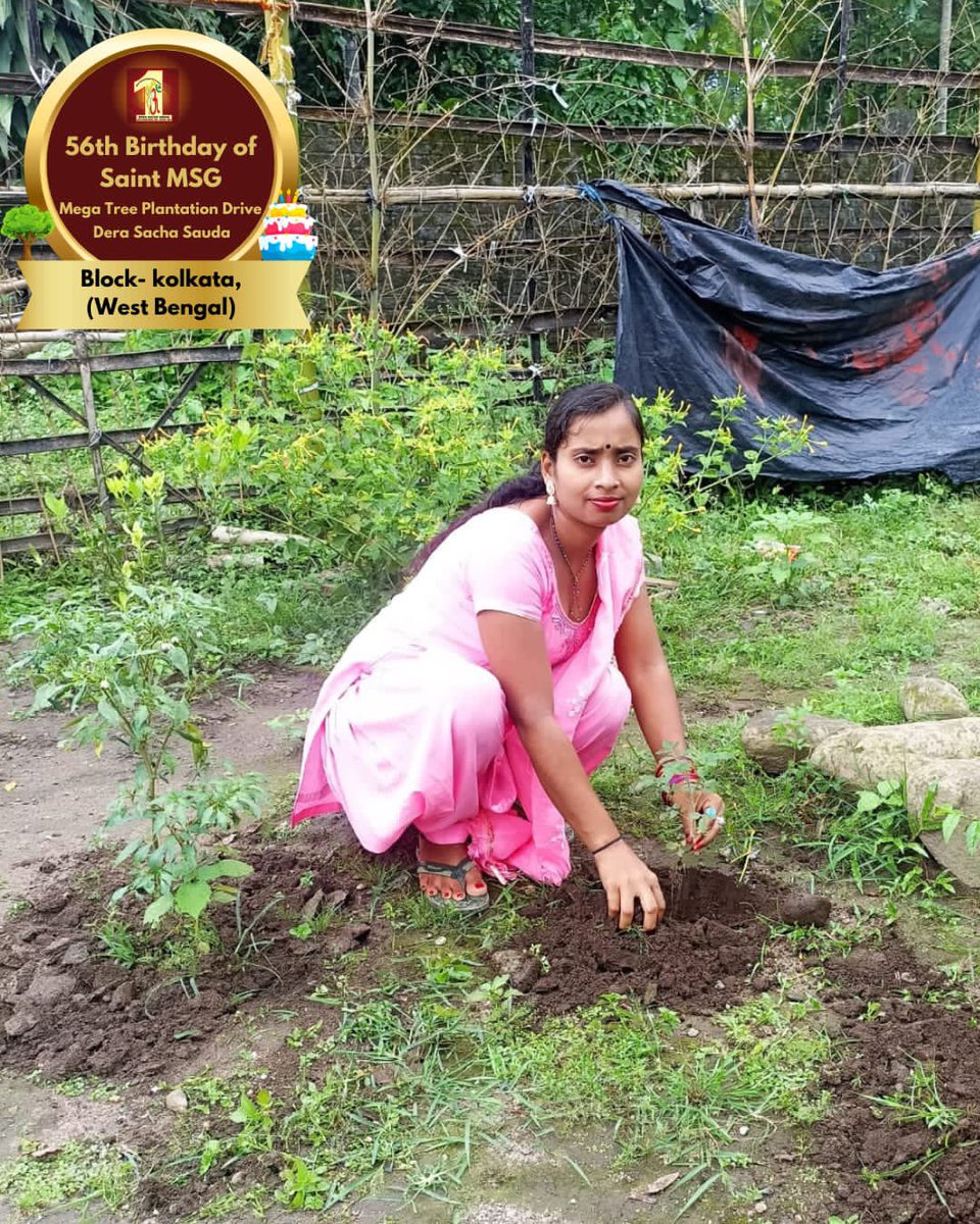DSSNewsUpdates's tweet photo. The best way to celebrate a special event is planting trees! Tree Plantation by Dera Sacha Sauda volunteers from Kolkata, WB on the occasion of Saint Dr. MSG's Birthday. #56thBirthday #SaintDrMSG #DeraSachaSauda #TreePlantation https://t.co/ak9H2JVR7V