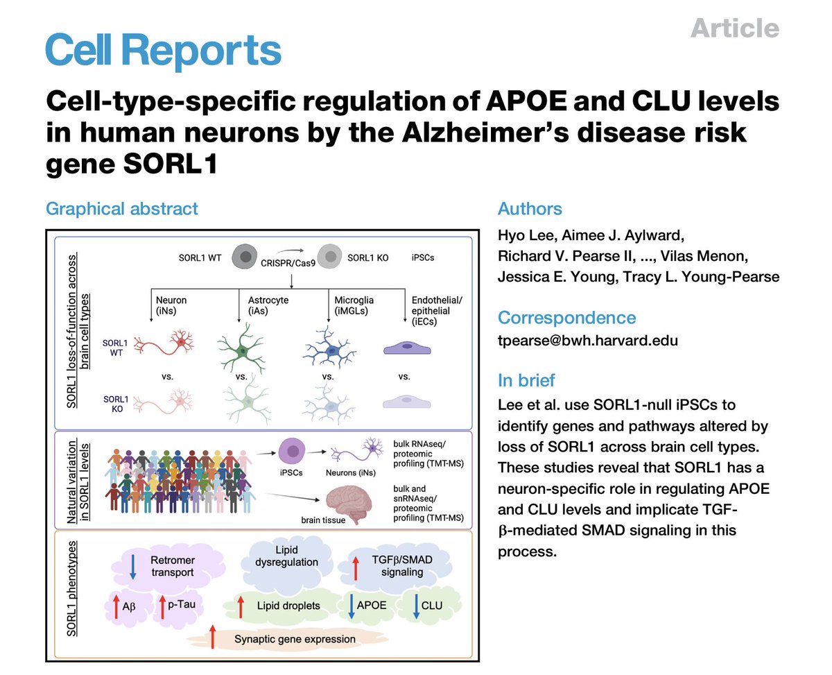 Congratulations to the team and especially to first author Hyo Lee, PhD on this recent publication in Cell Reports!
sciencedirect.com/.../pii/S22111…...