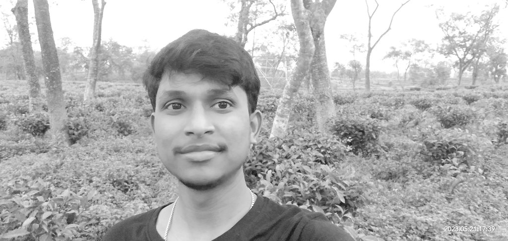 RohitNits's tweet photo. #NewProfilePic https://t.co/hSTQO1wzs8