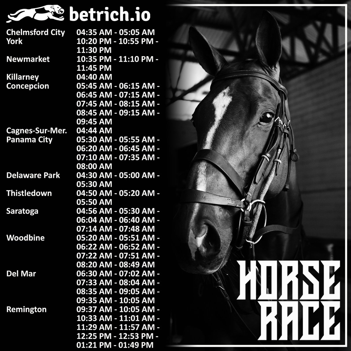 Feel the thunder of hooves and the rush of excitement! 🐎🏇 Unleash the thrill of horse racing as these magnificent athletes compete for glory. 🏆🌟

 #RacingElegance #HorsepowerHustle