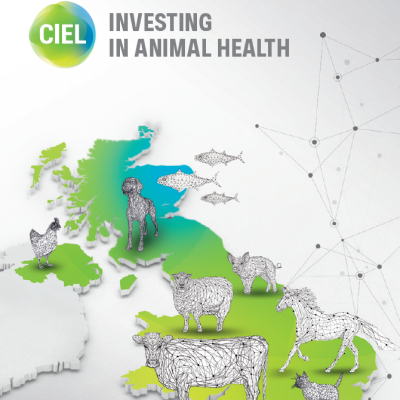 CIELivestock1's tweet photo. Animal health is at the❤️of the solution to #sustainable livestock & aquaculture production, with additional #OneHealth benefits for people and the planet.

Our report highlights the UK animal health ecosystem and capabilities for research, development and adoption of innovative solutions to enhance #animalhealth and #animal welfare.

Download👉https://t.co/oEPORvckUB

DM us if you have any q’s