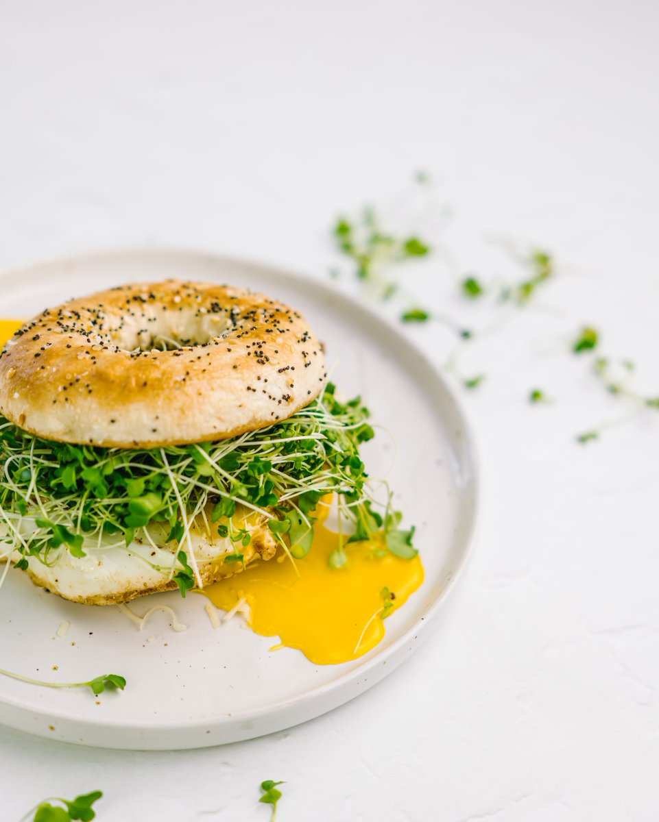 NBFoodandBev's tweet photo. Who says #breakfast should have all the fun? Anytime is the perfect time to enjoy a #friedeggsandwich 🍳 Pick up #NewBrunswick eggs at your local retailer & get crackin'! #buylocalforgood #eatlocalnb #CdnAg #loveCDNfood #itsgoodcanada #agpride @EggFarmersofNB @eggsoeufs https://t.co/52lksWzs0W