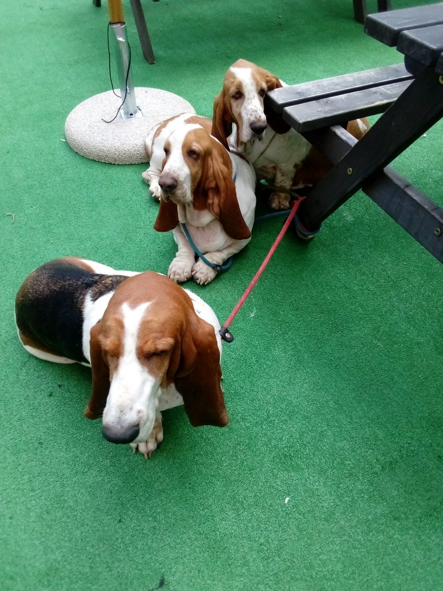 Comedy Marketer tweet media