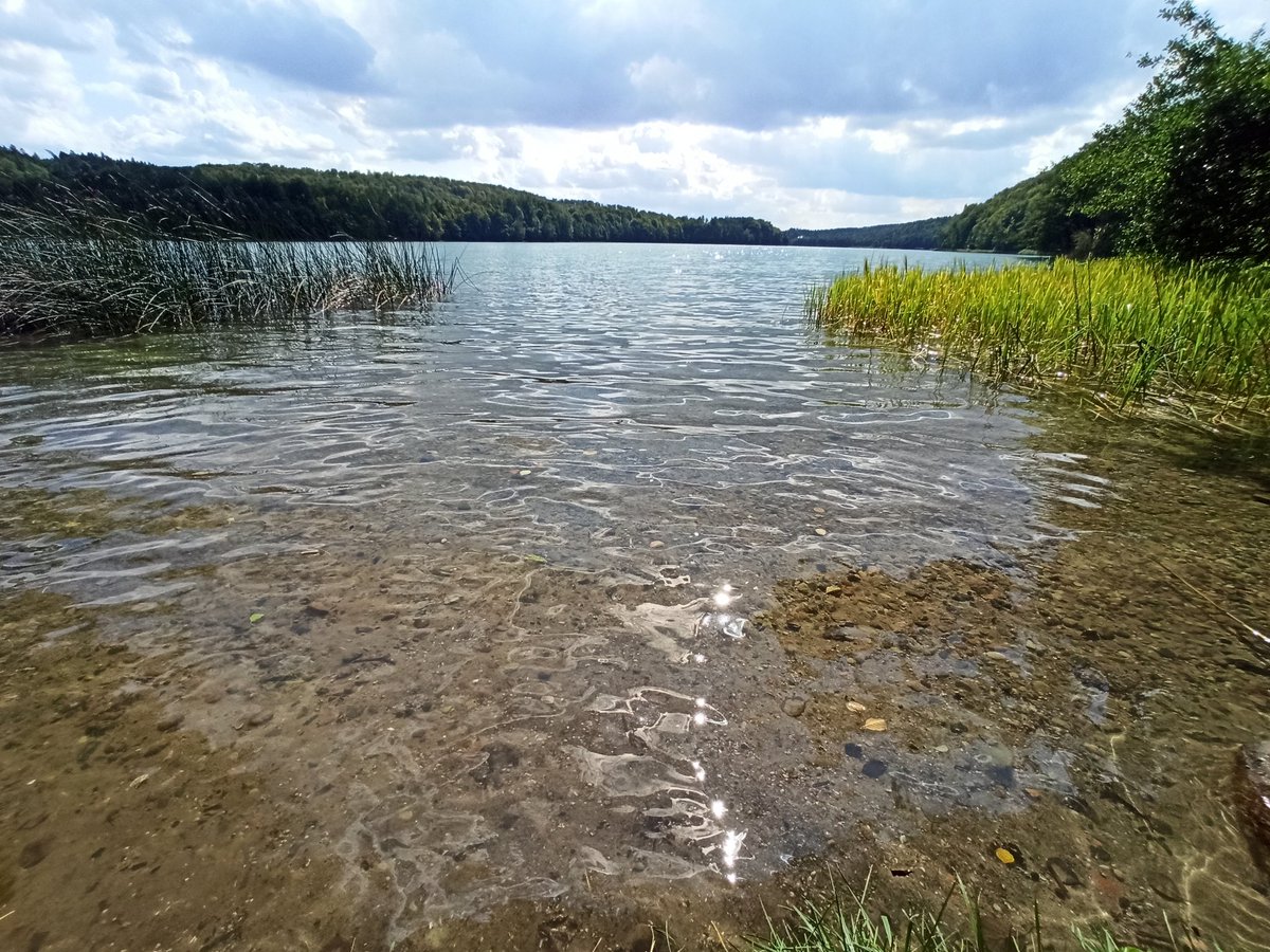 GDarekGD's tweet photo. 20 km. Mam nadzieję, że połowa trasy za mną 😁 żegnam się z Jeziorem Głębokim i drę buty dalej 😁
#40v7 #szlak3jezior https://t.co/4IMjk8yZnn