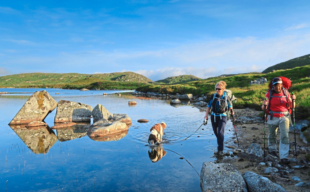 It's National Dog Day! Read of some of our skills, tips & tricks from Trail’s experts to get you hiking with your dog like a pro this weekend. Read now > shorturl.at/inpRV