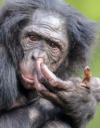 Jupiter Mitta™️ tweet media