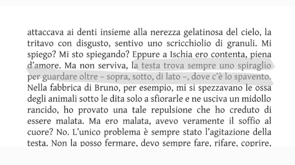 amicagenialebot's tweet photo. Ferrante, Storia della bambina perduta // Hozier, First Light https://t.co/KOTQA7vkgj