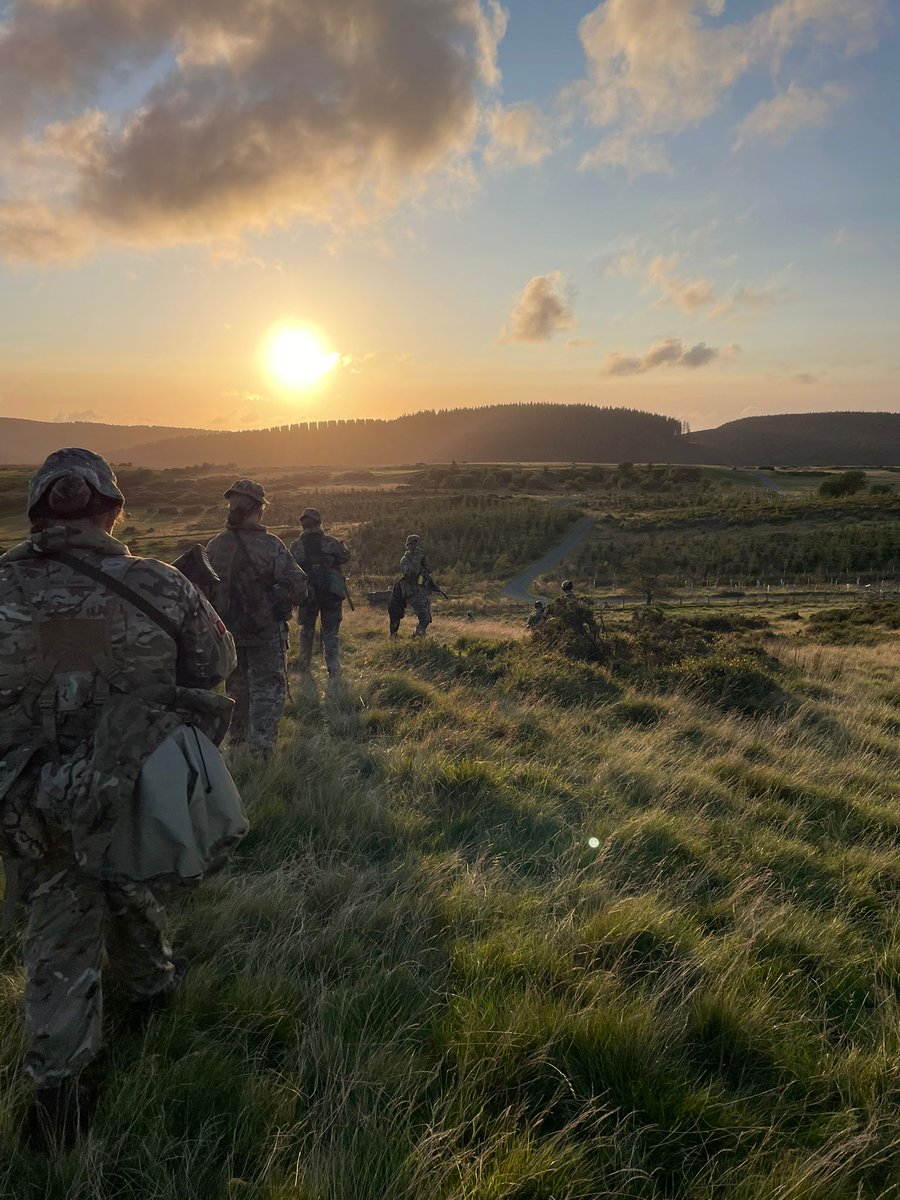 A Company - LNR ACF tweet media