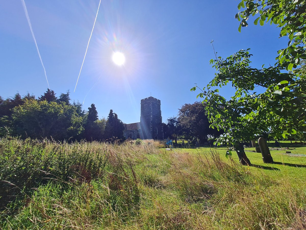sound_scribble's tweet photo. My favourite #walking spot. #Sun #nature have been trying get an hours walk in, each morning. So grateful to have this so close to home. https://t.co/T3QEx9Iuj1