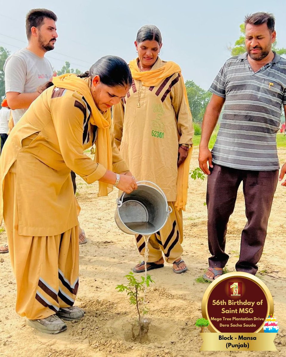 DSSNewsUpdates's tweet photo. Dera Sacha Sauda volunteers from Mansa, Punjab celebrating Saint Dr. Gurmeet Ram Rahim Singh Ji Insan's 56th birthday 🎂with a green pledge! 🌳 #56thBirthday #SaintDrMSG #DeraSachaSauda #TreePlantation https://t.co/jYkMBOtKRH