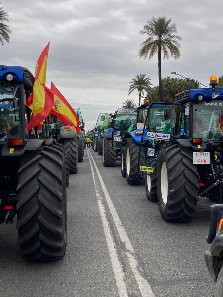 El campo andaluz se moviliza para exigir un cambio en la política agraria europea que garantice el sistema alimentario.

Las Organizaciones Agrarias convocan a todo el sector el 5 de septiembre en Córdoba en el marco de la reunión de los ministros europeos de Agricultura.