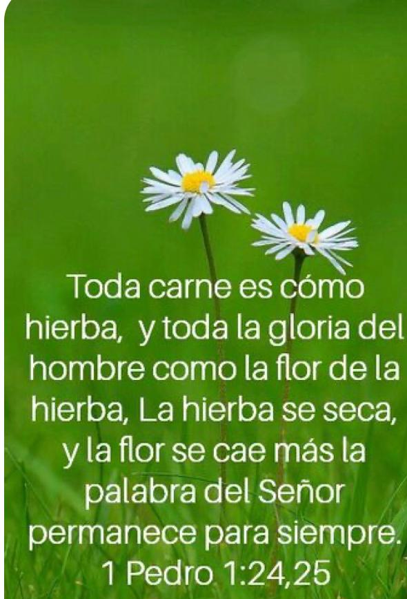 samuel_ca1's tweet photo. Si te permite disfrutar de la belleza de la vida, perdona tus pecados, y te mantiene vivo, que más tiene que hacer Dios, para demostrarte que te ama.?
Él te ama como nadie, con amor verdadero, porque eres su más preciada creación.! Aménnnnn.
Buenos días mis amados.🫂🥀 https://t.co/IY7T7QsBJz