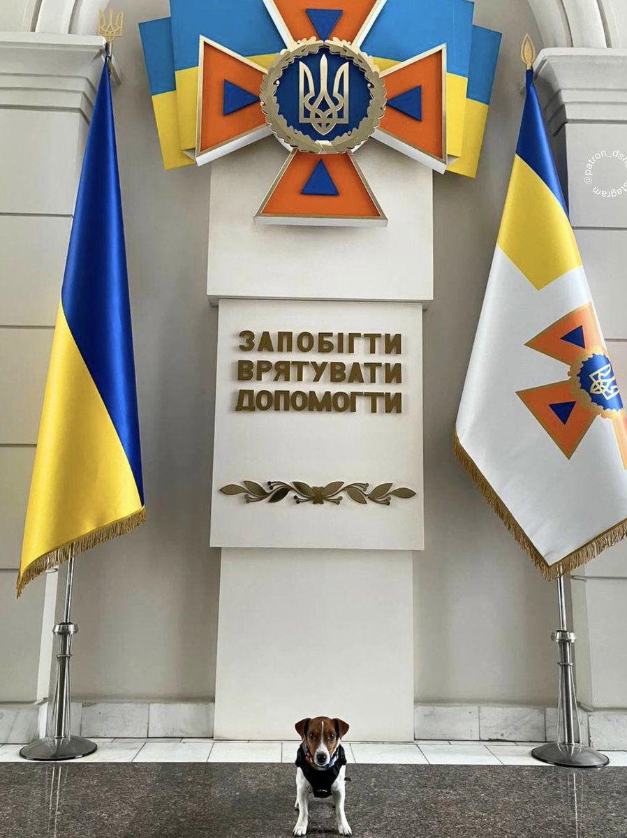 PatronDsns's tweet photo. Happy Independence Day in Ukraine🇺🇦❤️
Thank you for the gifts, our foreign partners 🙌🏻 https://t.co/IQqge9neUS