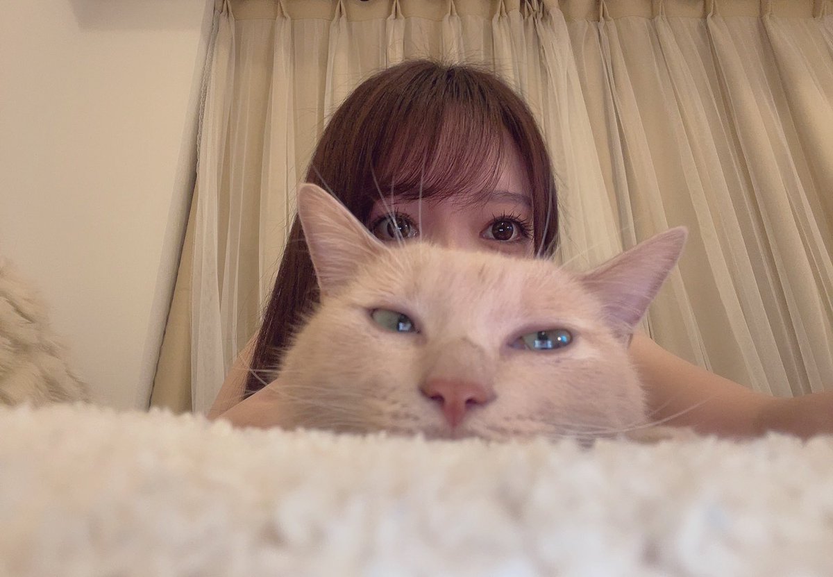 オンライン撮影会中ミア乱入
まだやってるのー？
って入ってくるのかわゆ過ぎた…
参加してくれた皆様ありがとうございました照
https://t.co/a3XvXABXYP https://t.co/i3Y6ANgb9u