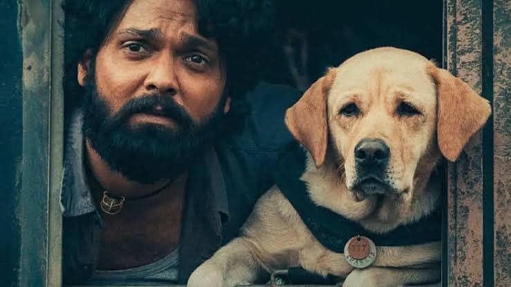 htcity's tweet photo. Sardar Udham won Best Hindi Film, Chello Show won Best Gujarati Film, 777 Charlie won Best Kannada Film
#SardarUdham #ChelloShow #777Charlie #NationalFilmAwards2023 https://t.co/IEMFIRHtYp