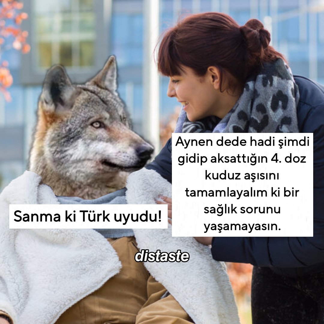 Distaste (@distastemoment) on Twitter photo 