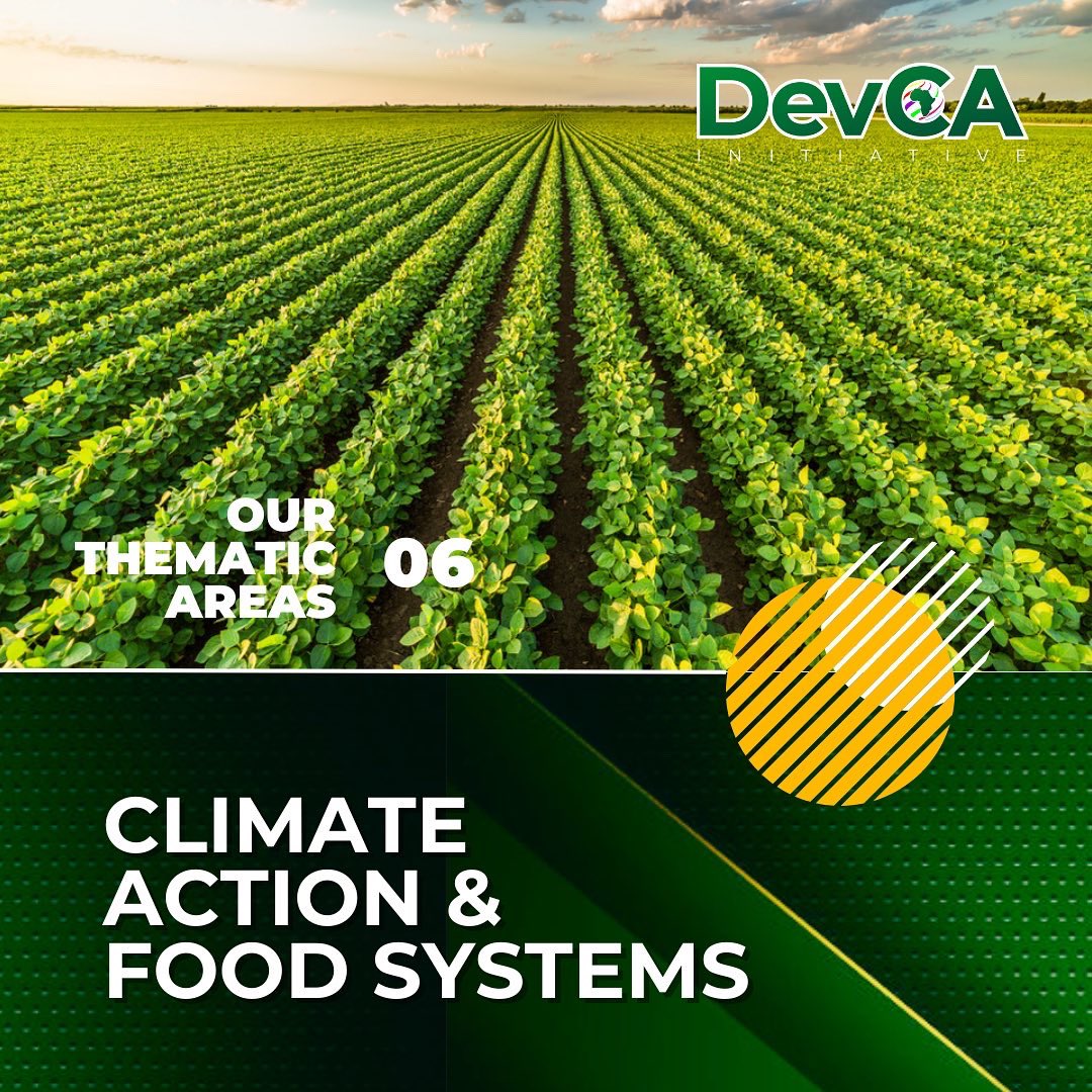 DevCA Initiative tweet media