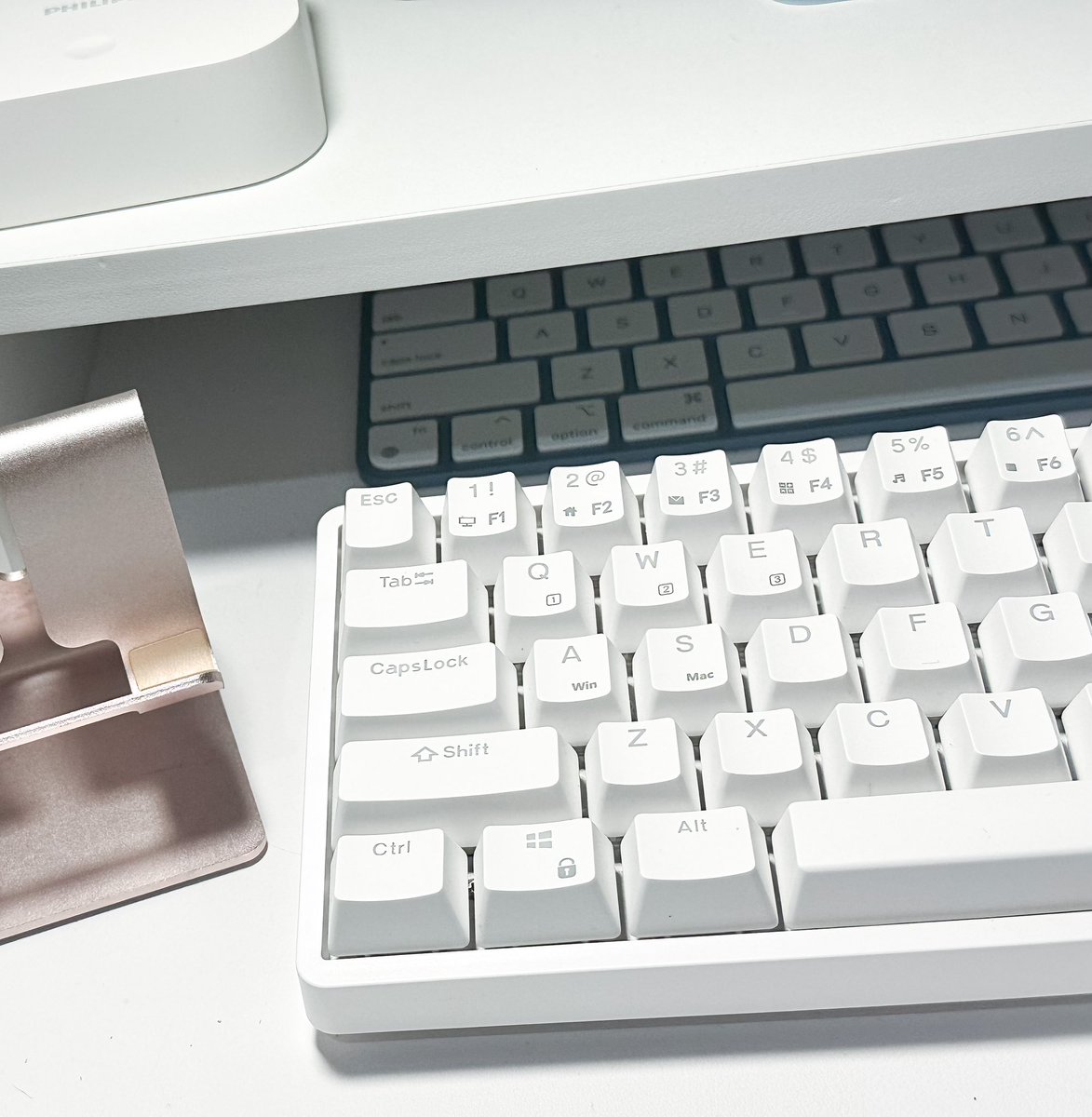 ✧.* ₱65 gcash giveaway *.✧ 

 ɞ rt &amp; like
 ɞ mbf me !