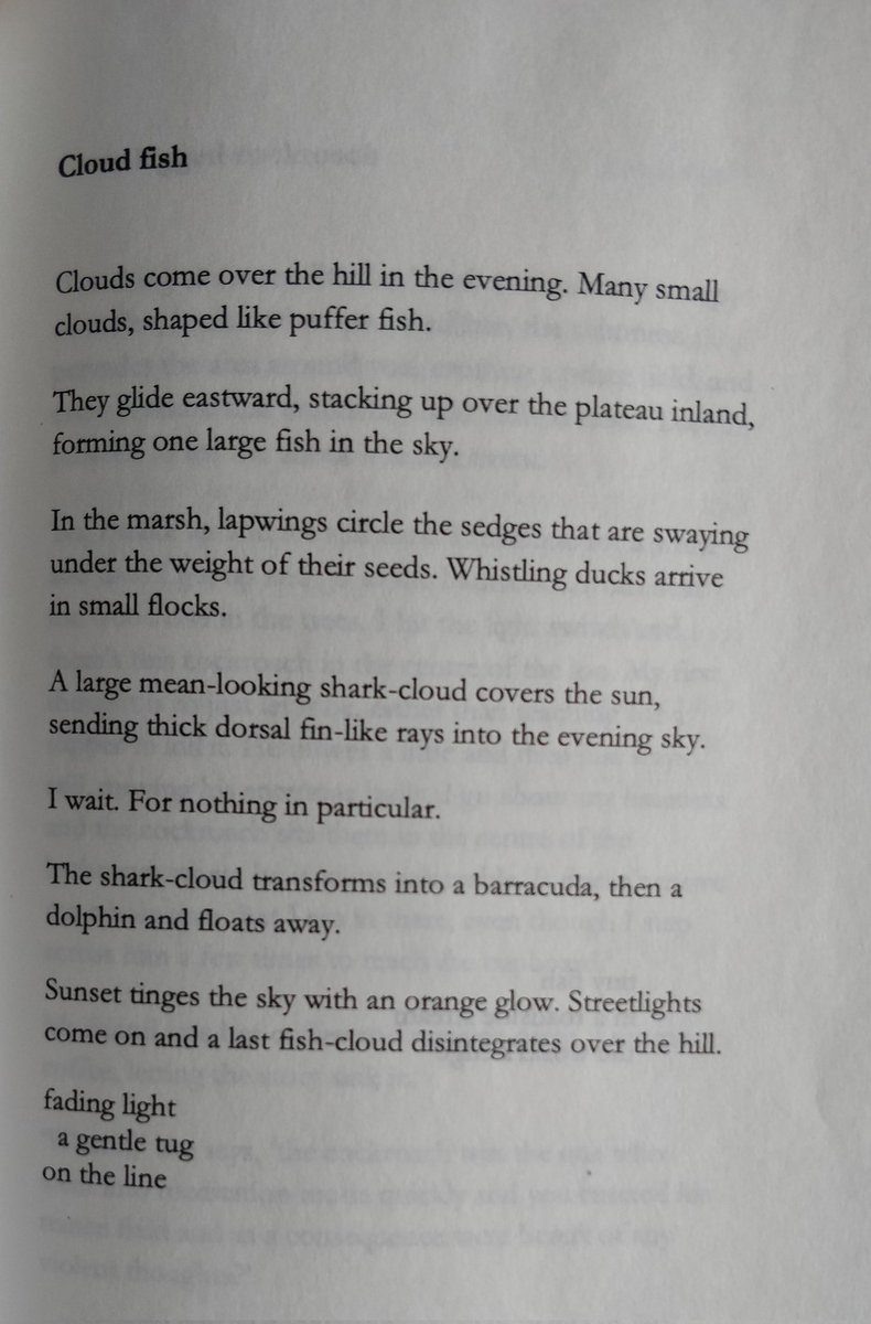 CViraraghavan's tweet photo. Cloud fish

From 'A Little Knowing' -- #haibun by the brilliant Salil Chaturvedi 
@kshatra 

Thank you for my copy, @anniesen! https://t.co/EnGjU6dZnP