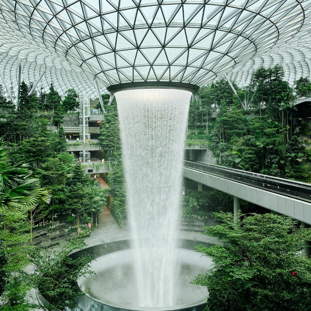 Travelon_Bags's tweet photo. Changi Airport in Singapore redefines the journey with its awe-inspiring architecture, unmatched services, and a glimpse into the future of exploration. βοΈ
This is a must visit on our travel list!
#Travelon #clutchbag #parkview #style #RFID #laptopbag #antitheftbag https://t.co/heEYw7RbtX