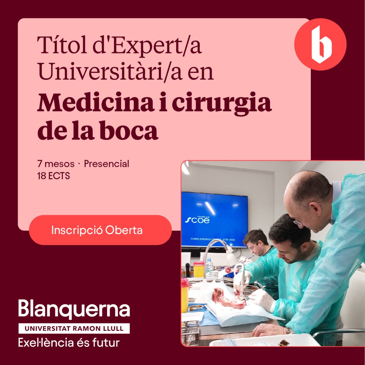 🦷 El TEU en Medicina i Cirurgia de la Boca s'imparteix amb la Societat Catalana d’Odontologia i Estomatologia:

✅3 mesos d'estades clíniques.
✅Sessions clíniques amb pacients.
✅Pràctiques al laboratori de l’<a href="/hospitalclinic/">Hospital Clínic</a>.

👉Més informació: blanquerna.edu/ca/titol-d-exp…
