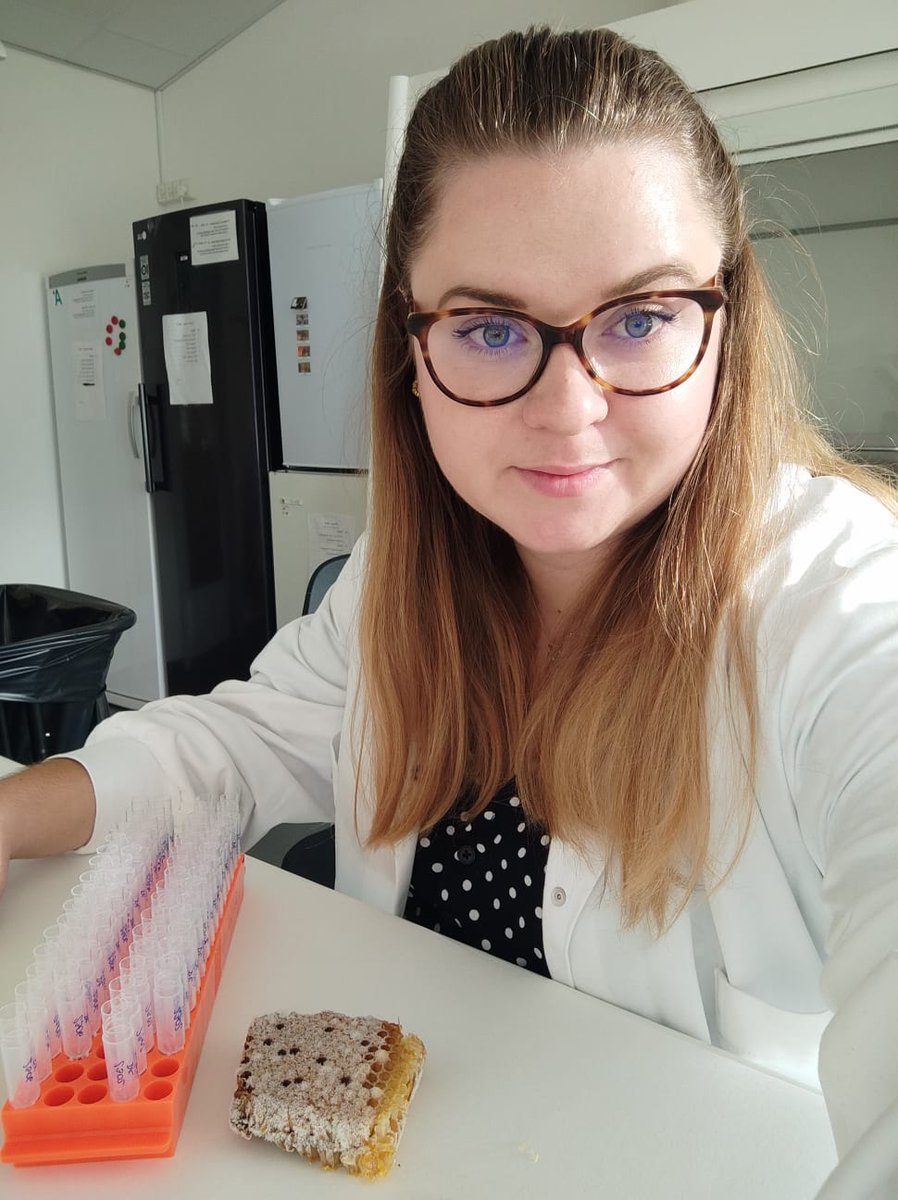 kbc_up's tweet photo. Our PhD student Eliška Pinďáková is currently working at Aarhus University in Denmark. Together with Dr. Per Kryger she is focusing on Ascosphaera apis and Chalkbrood disease. Her stay was supported by #nadacnifondUP https://t.co/oyormVp0V0