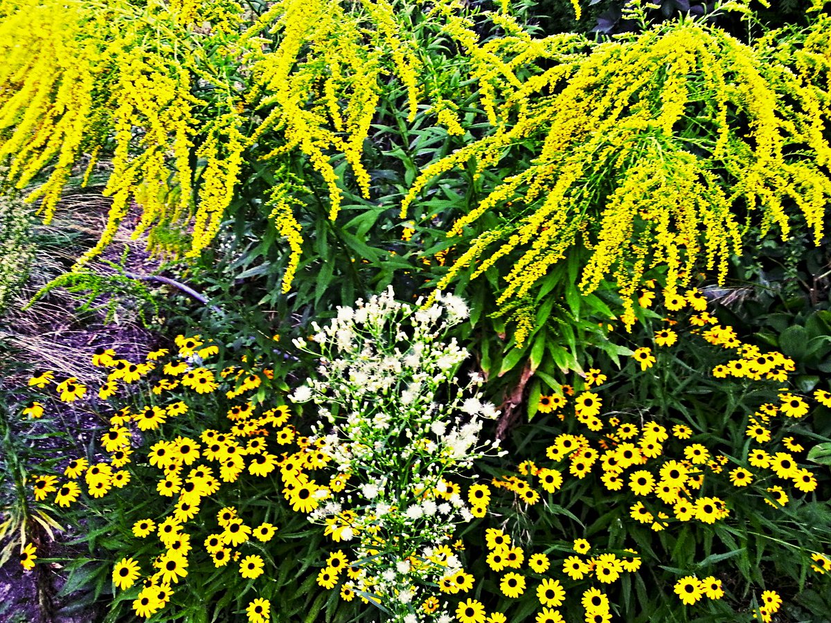 apex_archive's tweet photo. Wohingegen #Planzen und #Blumen normalerweise was Schönes sind... :)
#schönes #schön #flowers https://t.co/McokEFX0cc