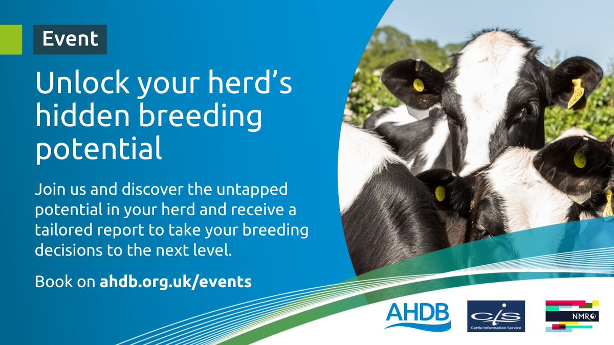 HolsteinUK's tweet photo. Join us at one of the AHDB forthcoming workshops, where you will discover the untapped potential in your herd and receive a tailored report to take your breeding decisions to the next level.
Workshops across the UK: https://t.co/gbec39LB93 https://t.co/S0nCqztVUi