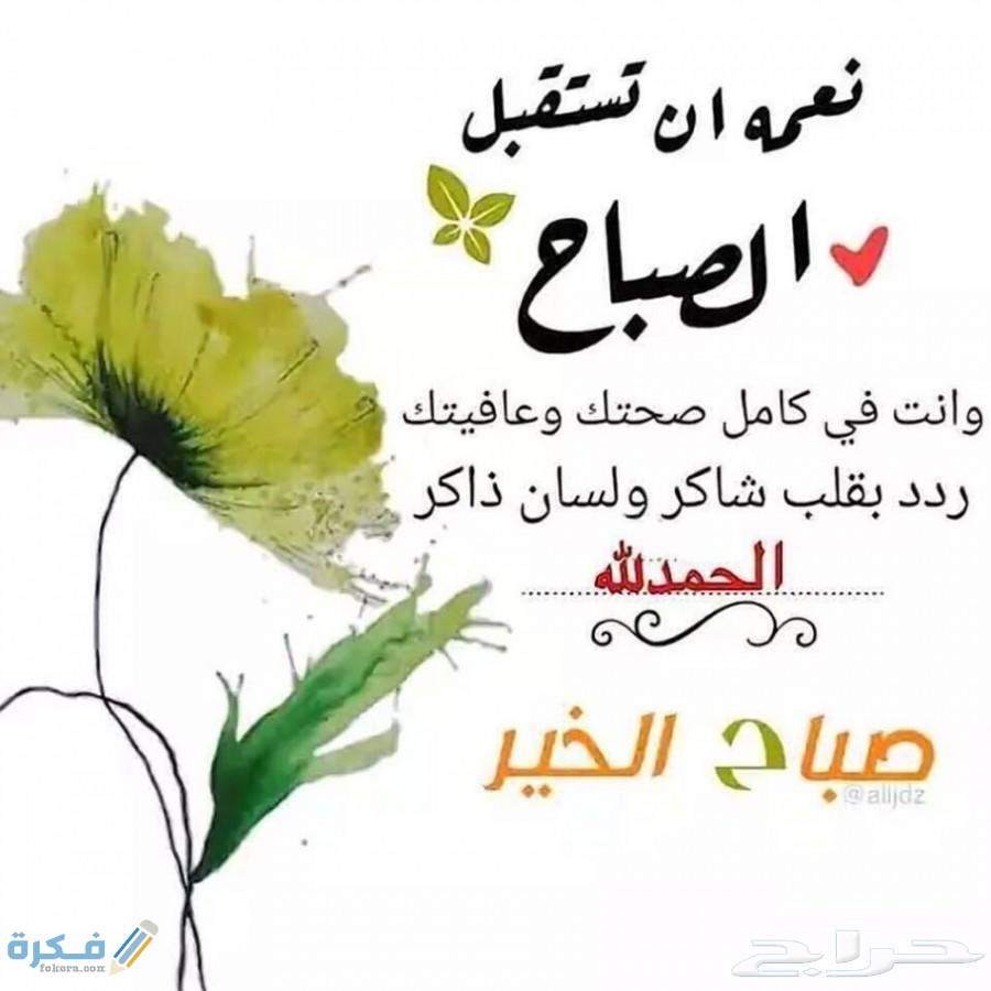 محمد النحاس tweet media