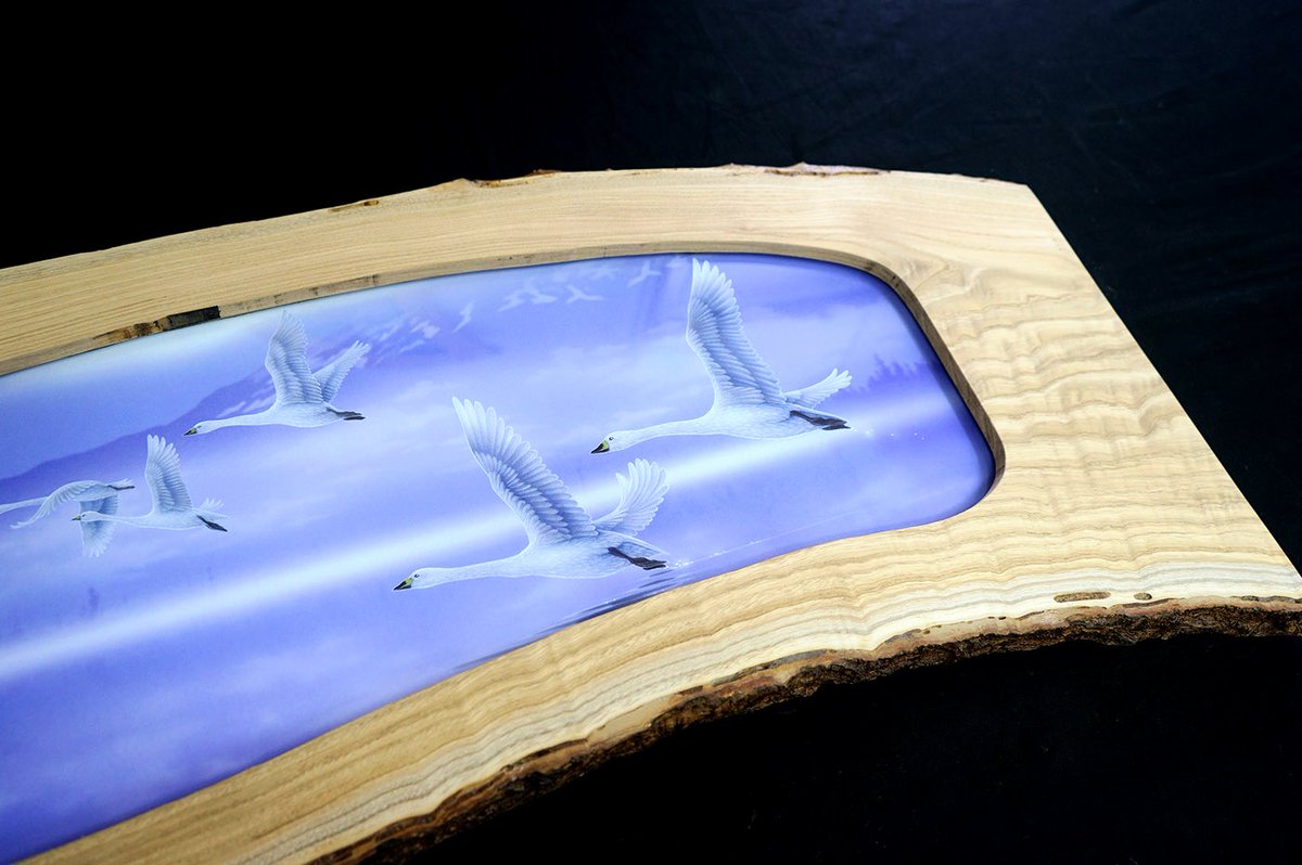 kentaro_art's tweet image. &quot;The Way Home&quot; #Swans

「旅立ち」#ハクチョウ 原画

渡り鳥のハクチョウが湖から一斉に羽ばたき立つ様子を描いた作品です。

9月の神奈川、大阪で開催の #ジャパンアートエキスポ に出品します。

【主催】 #アールビバン 株式会社　

#saveswans #savebirds #kentaronishino #画家 #西野健太郎