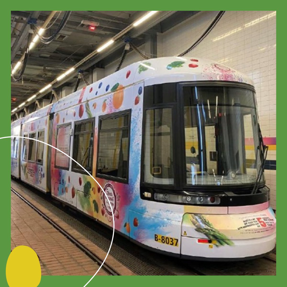 masbrocoli's tweet photo. +Brócoli en Berlín😀🥦🚋
Viajamos a otra de las grandes capitales europeas para promover el brócoli español gracias al CuTE Healthy.
Desde la asociación seguimos fomentando un estilo de vida saludable, y nos sumamos al reto de 5 verduras y frutas de #longlifechallenge😋 https://t.co/aDODB7YYir
