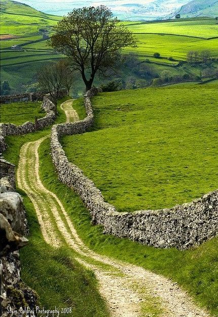 border line
 North Yorkshire Dales - England🇬🇧
@Architectolder 
@Travitinerary 
#bordline
 #north #yorkshire #dales #england #nature #naturephotography #green #infinity #photography #naturelover #blogger #border #sky #weather #europe #trees #grass #pavement #dirtroad #soil #wall