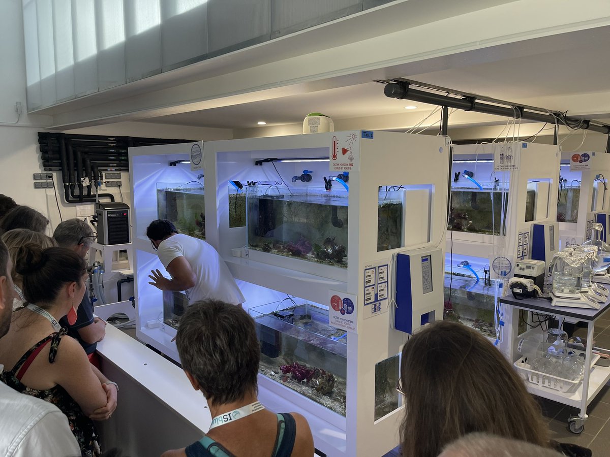 julien_loche's tweet photo. Visite de l’#océanolab de l’@Oceanopolis_ (labo
@LemarLab)
expériences avec les Huîtres plates ou Bélons en faisant varier différents paramètres en lien avec #climatechange
Chercheurs au top!
#MerEduc2023 #CSTI #CAST
Cc @DavidGuillerme https://t.co/l8Xq1EtrT3