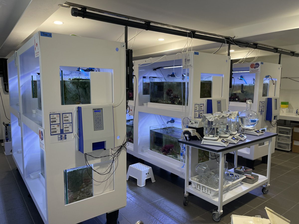 julien_loche's tweet photo. Visite de l’#océanolab de l’@Oceanopolis_ (labo
@LemarLab)
expériences avec les Huîtres plates ou Bélons en faisant varier différents paramètres en lien avec #climatechange
Chercheurs au top!
#MerEduc2023 #CSTI #CAST
Cc @DavidGuillerme https://t.co/l8Xq1EtrT3