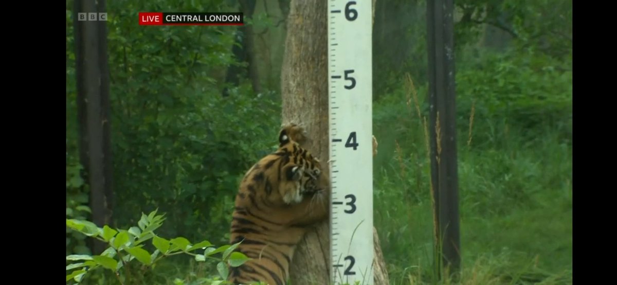 Andrew Bryson tweet media