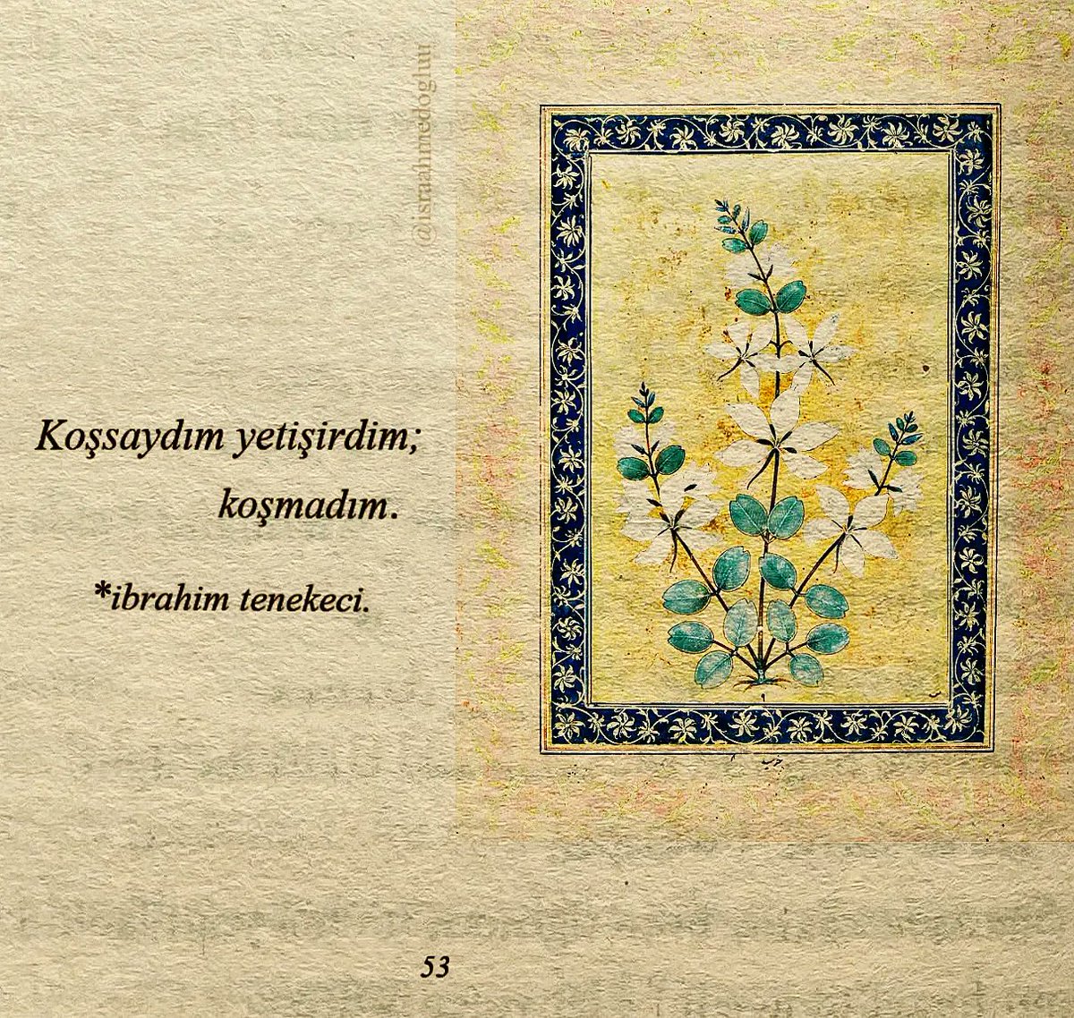 Ayolning klitorini yalash Porno pozitsiyalar blowjob