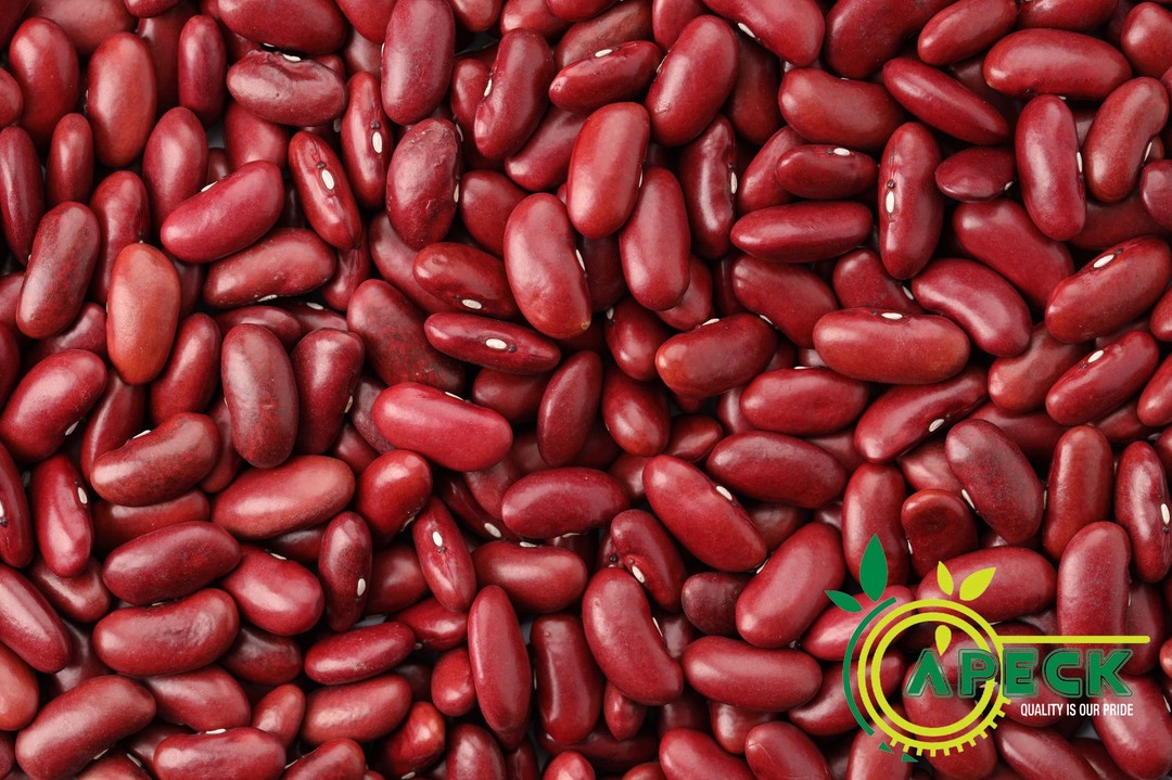 apeckintl's tweet photo. We Supply High Quality Red Kidney Beans in Large Quantity.

To make an order:-
Call/WhatsApp us: +255-759-117777 or
Email: info@apeckinternational.com https://t.co/HmDKtc5eLA