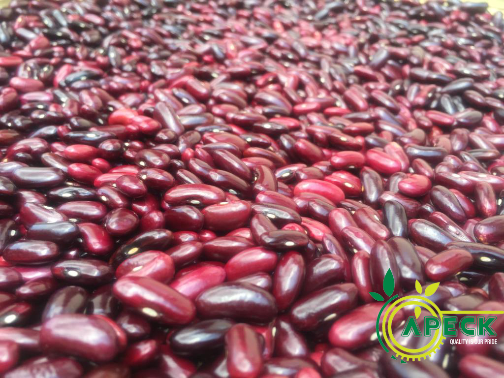 apeckintl's tweet photo. We Supply High Quality Dark Red Kidney Beans in Large Quantity.

To make an order:-
Call/WhatsApp us: +255-759-117777 or
Email: info@apeckinternational.com https://t.co/OgE0ThxeSJ