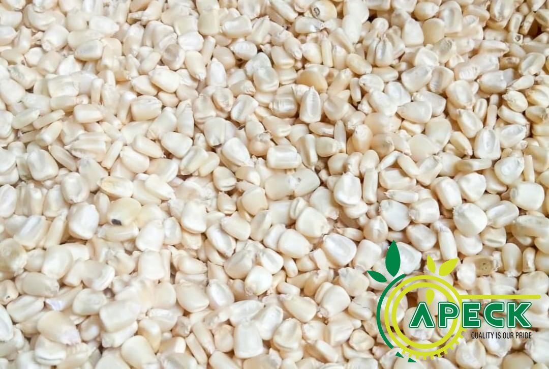 apeckintl's tweet photo. We Supply High Quality White Maize in Large Quantity.

To make an order:-
Call us: +255-759-117777 or
Email: info@apeckinternational.com https://t.co/wnFEPwOkx7