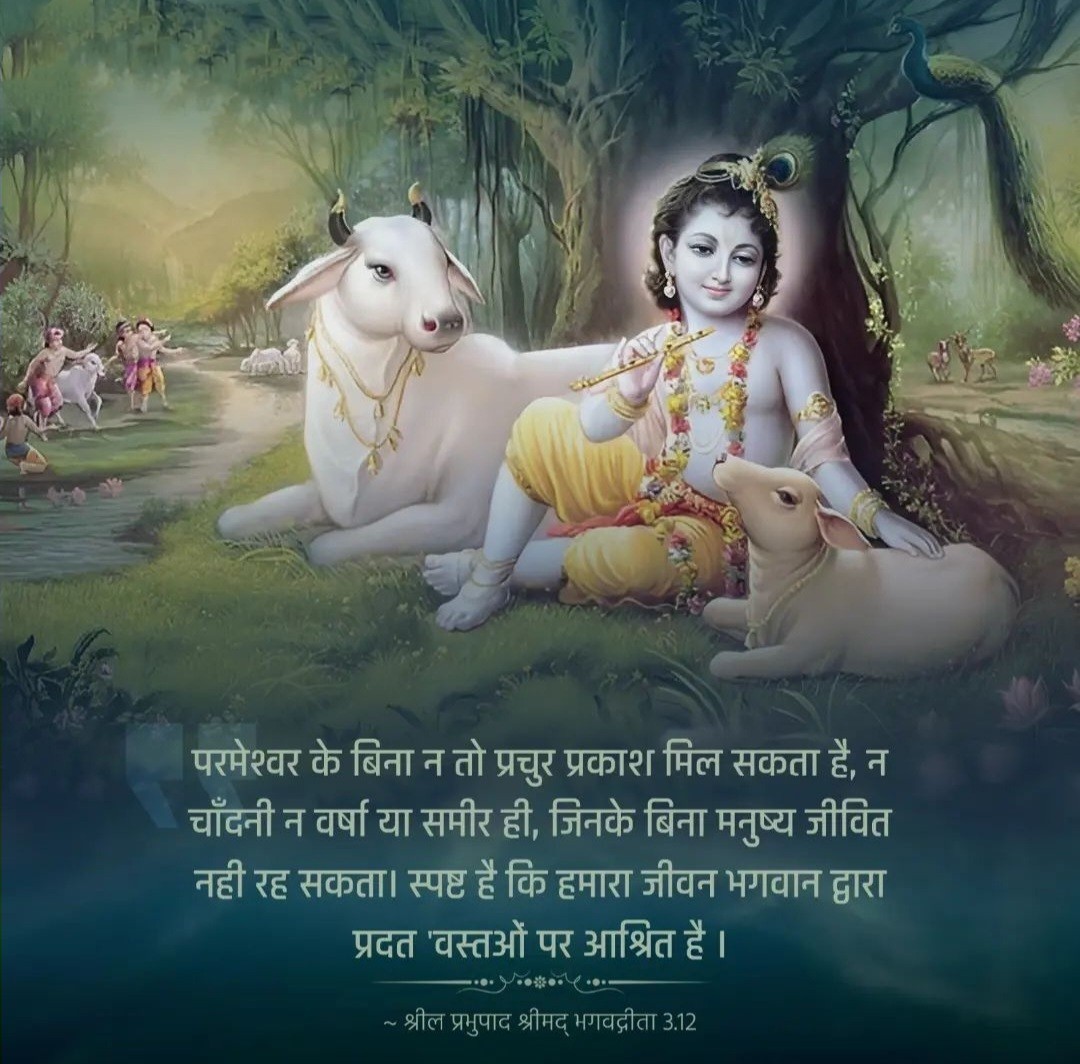 TheGitaLife's tweet photo. Hare Krishna Hare Krishna Krishna Krishna Hare Hare Hare Rama Hare Rama Rama Rama Hare Hare https://t.co/8yrnEKVAiL